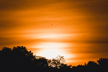 Sunrise in France Atlantic Coast 