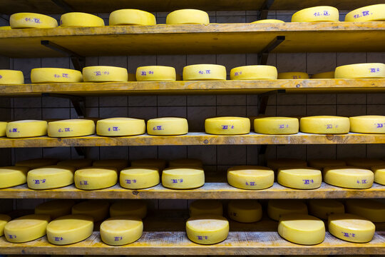 Cheese Organic tourist farm, Cadrg, Julian Alps, Municipality of Tolmin, Slovenia, Europe