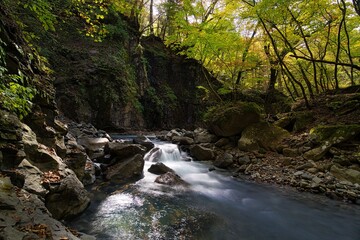 山の中の川の流れ