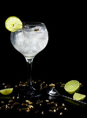 Gintonic de lima con cardamomo y cuchara de espiral 