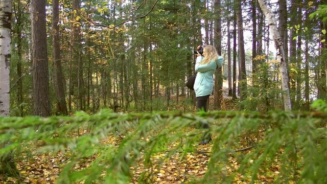 woman walks in the autumn forest and takes pictures of nature.