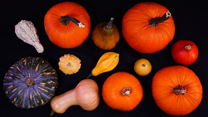 Pumpkin autumn halloween scenery table top view, on a black background. Top view with isolated different kinds of pumpkins. Halloween, fall or thanksgiving scene. Wallpaper with Text holder