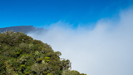 Haze over the jungle