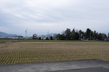 wind farm in the country