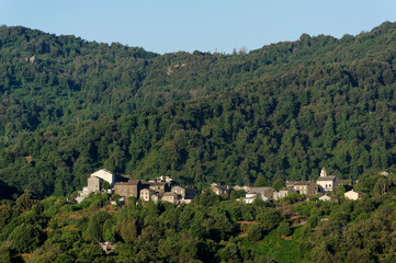 Fototapeta na wymiar Pietra-di-Verde village in Upper Corsica mountain