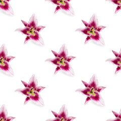 seamless pattern of Lily flower bloom. Lily flowers over white background seamless texture. flat lay flower pattern