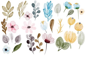 Watercolor set flowers and leaves
