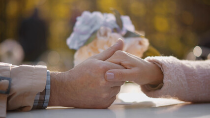 Close up of romantic senior couple holding hands in outdoor over vase with flowers on background