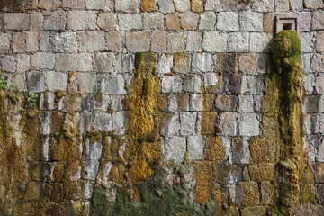 Moss and water falling from a wall