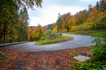 driving on a curvy mountain road through a beautiful forrest in autumn displaying colorful foliage after a rainy day. Traveling on a road trip through a beautiful landscape with bright colors. 