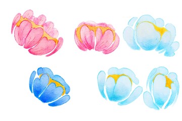 Watercolor set floral