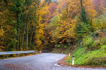 driving on a curvy mountain road through a beautiful forrest in autumn displaying colorful foliage after a rainy day. Traveling on a road trip through a beautiful landscape with bright colors. 