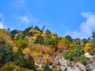 Obraz premium 秋、高瀬渓谷の七倉山荘付近からの紅葉 長野県大町市