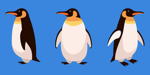 Penguin in different angles. Arctic animal in cartoon style.