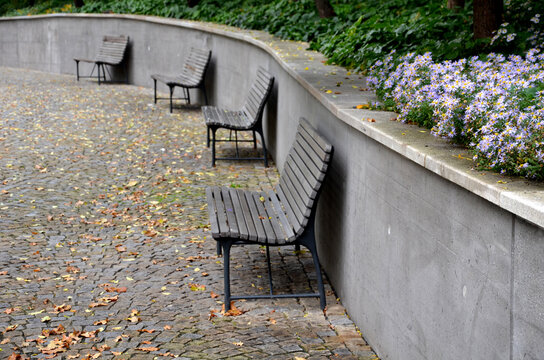 benches at the supporting gray supporting concrete wall in the park. Purple asters bloom above the wall in the flowerbed. wood paneled park bench with metalic black frame.