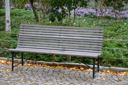 benches at the supporting gray supporting concrete wall in the park. Purple asters bloom above the wall in the flowerbed. wood paneled park bench with metalic black frame.