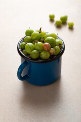 Close up of green gooseberry in blue enamel mug