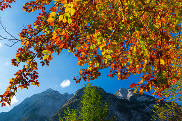 Triglav National Park, Trenta Valley, Julian Alps, Municipality of Bovec, Slovenia, Europe