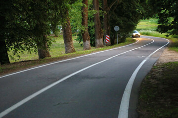 winding dangerous forest asphalt road with markings