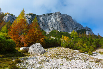 Fall colors, Triglav National Park, Trenta Valley, Julian Alps, Municipality of Bovec, Slovenia, Europe