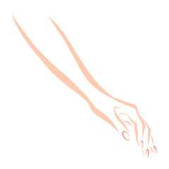 Obraz na płótnie Canvas graceful female hand with pink nails, sketch