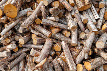 PILE OF WOODS fall season