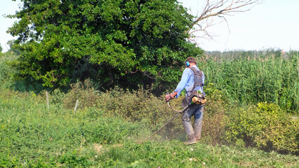 Senior man mows grass with petrol brush cutter. Man wearing work overalls, protective goggles, soundproof headphones and work gloves. Full-length view