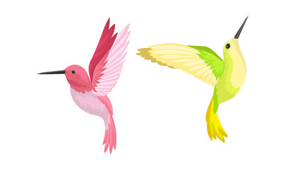 Hummingbirds as Small Bird with Beating Wings and Bright Plumage Vector Set