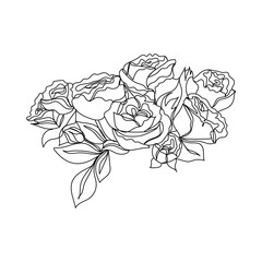 Beautiful rose flowers - one line drawing. Vector illustration continuous line drawing