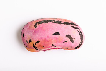 Single borlotti bean freshly harvested from the pod, with the fibres from the pod still on it.