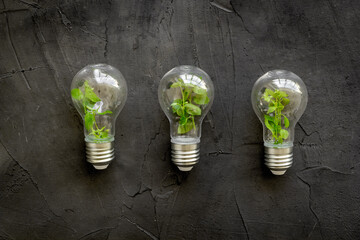 Energy saving eco bulb - lamp with green plant inside