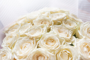Beautiful white rose background. Many white roses as a floral background. Bouquet of white roses.