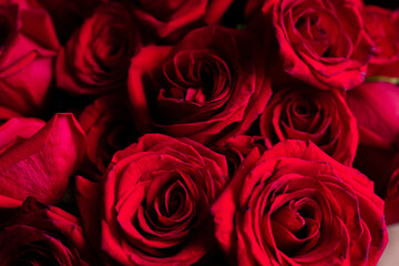 Natural red roses background top view. Bouquet of Red Roses. Big bunch of red roses. Colorful flower bouquet from red roses background.