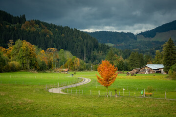 Herbst im l&auml;ndlichen Allg&auml;u, Unterjoch