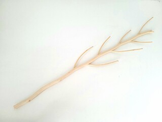 Dry twigs isolated on white background