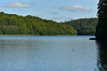 Calm water on the Ostrzyckie lake, Kashubian Landscape Park, Poland. 