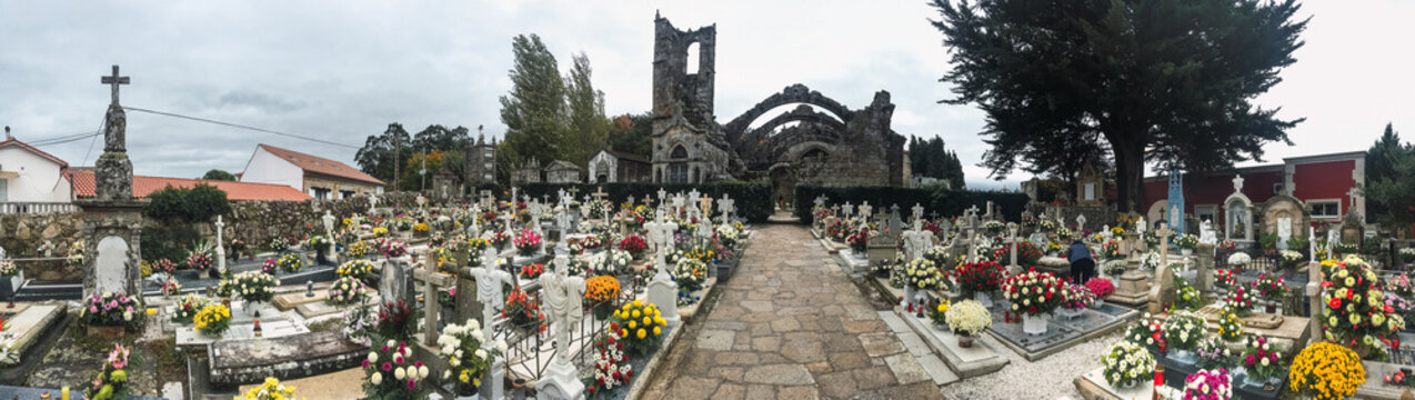Cemetery full of flowers with arches in the background