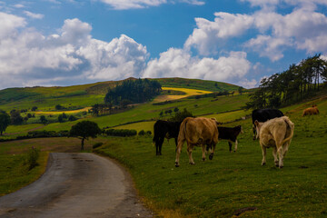 Roadtrip trough Snowdonia, Wales