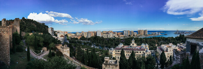 Fototapeta premium Panoramic view of the city with houses and trees