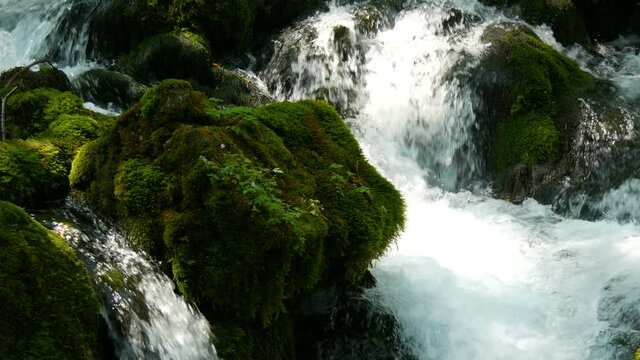 Insanely beautiful picturesque Mountain river Bistrica in Montenegro flows over stone boulders covered with green moss.