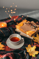 Hot cup of tea with autumn leaves, a stack of books and a light garland decor on brown plaid in the bed. Comfort and relaxation concept.