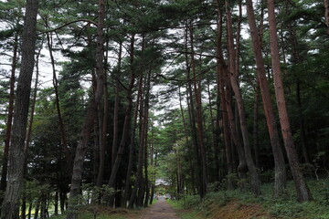 Naklejka premium 日本 遠野の風景