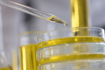 Drop of yellow liquid flows out of glass pipette in chemical laboratory closeup. Quality control of refining petroleum products concept.