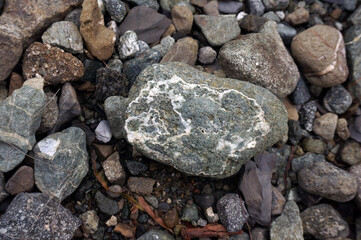 Detail and texture stone on the coast with selective focus. 