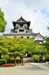 Obraz premium 新緑の犬山城