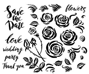 Set of hand drawn ink rose flowers and wedding lettering