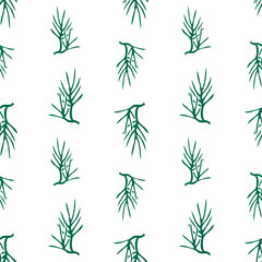 Seamless pattern of green spruce branches