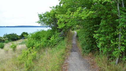 path to the sea