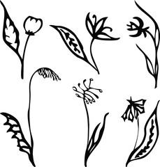 Vector image of outlines various abstract flowers