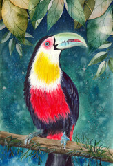  Watercolor picture of the colorful toucan on the tree branch with emerald leaves in the background

